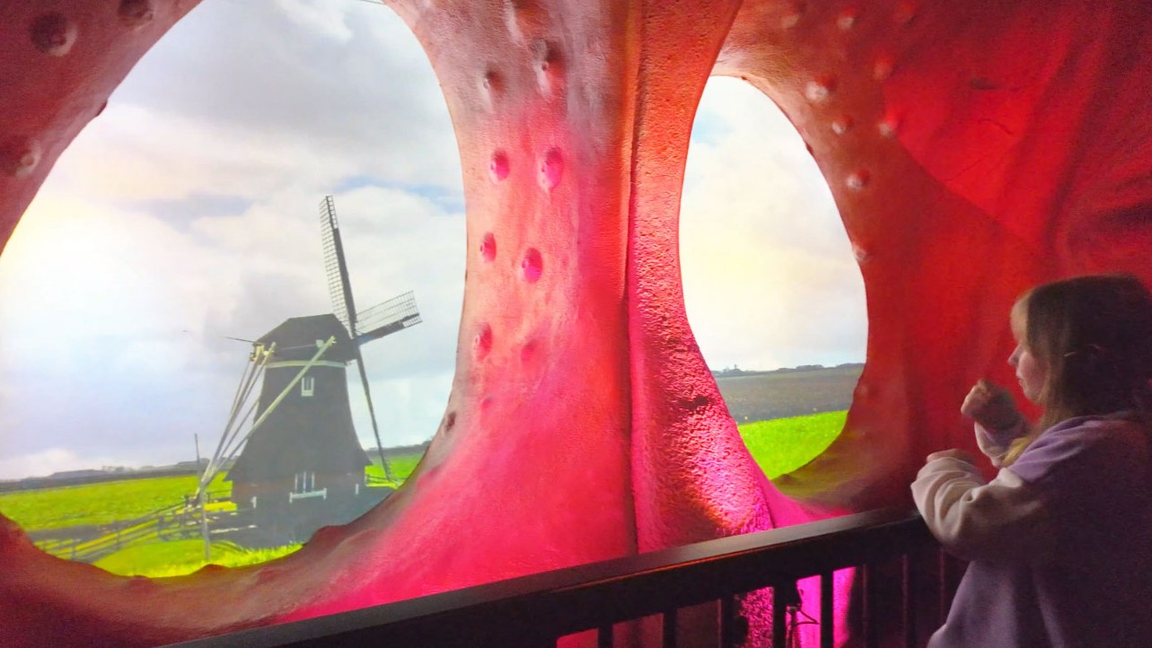 Inside Corpus