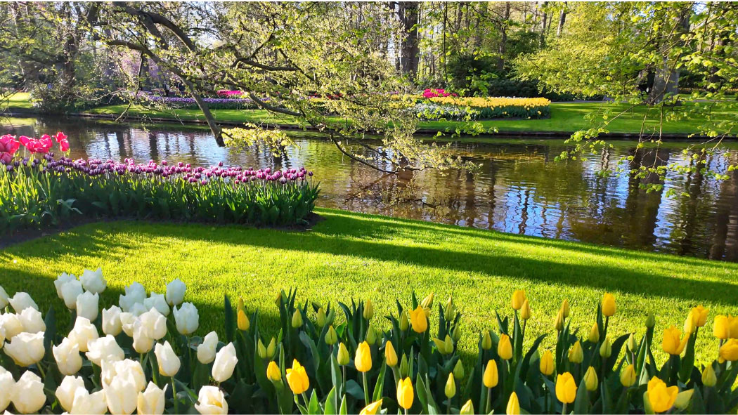 Keukenhof gardens