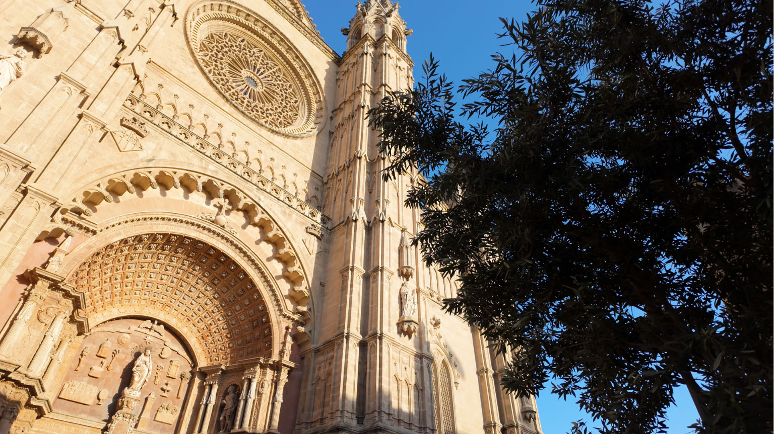 La Seu Cathedral