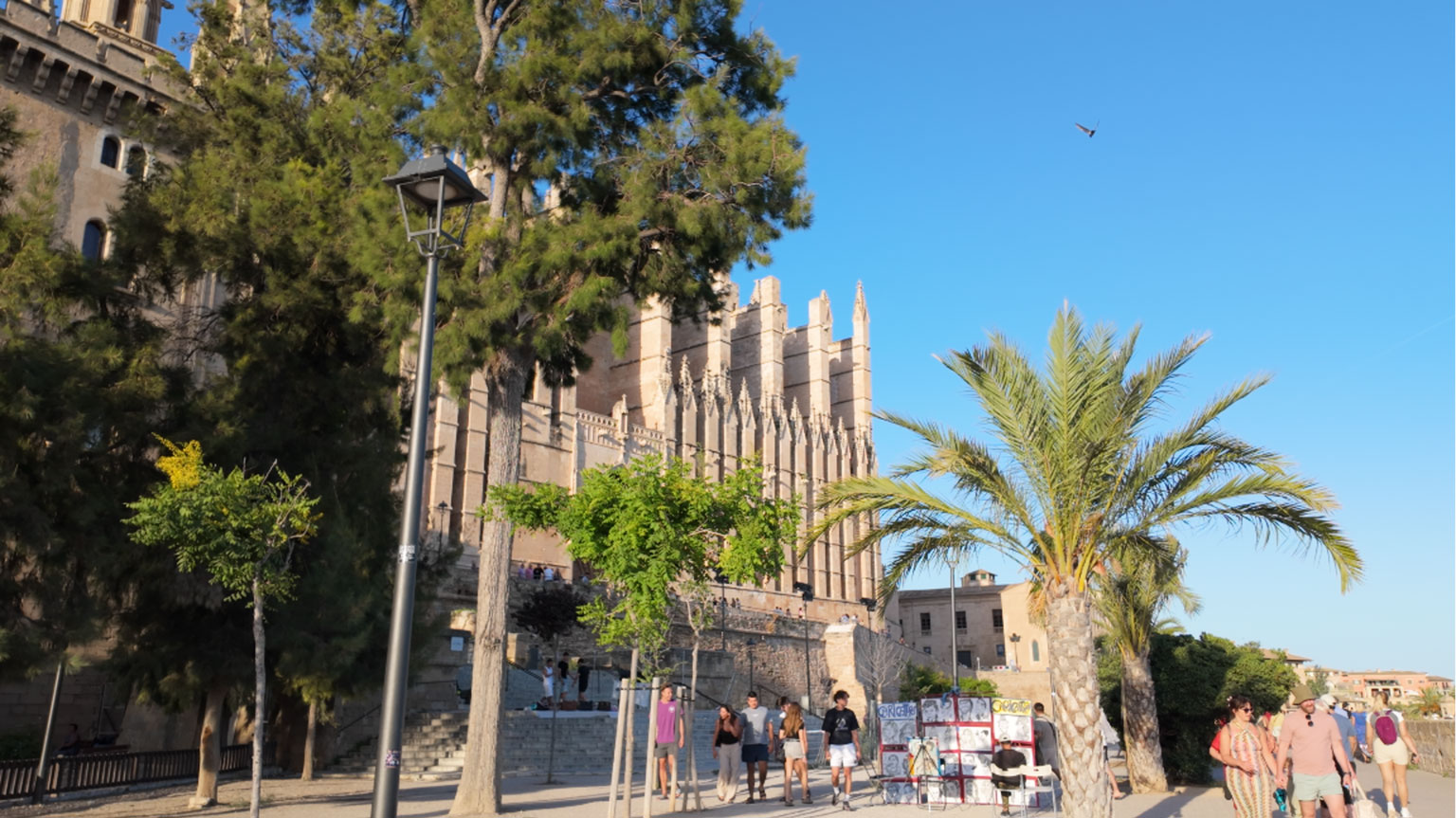 La Seu Cathedral facade
